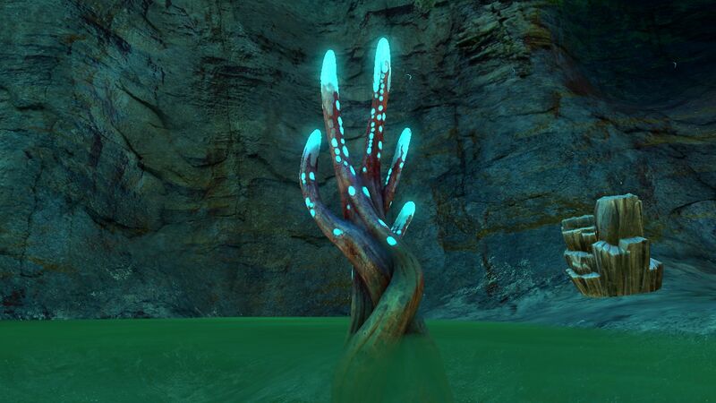 File:Crab Claw Kelp 2.jpg
