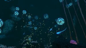DeepGrandReef 2.jpg