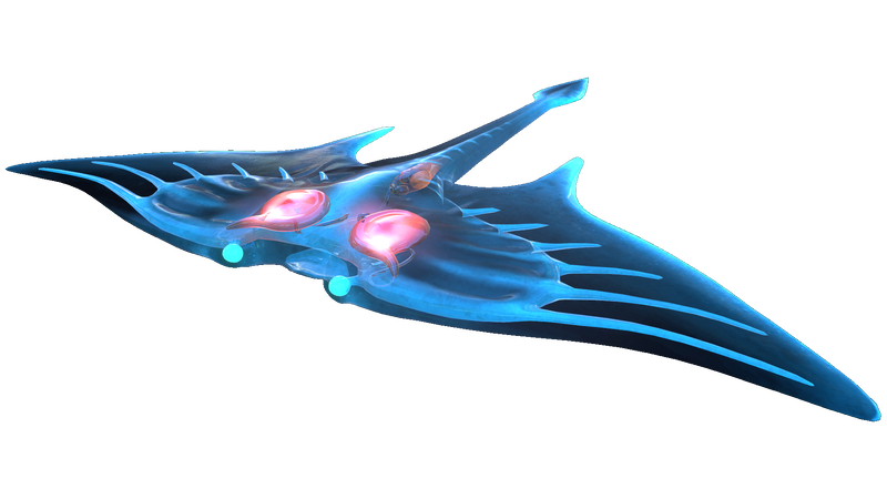 File:Ghostray Fauna.png