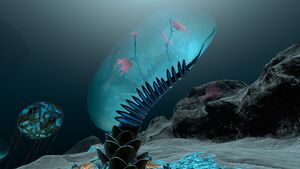 Membrane Tree (11).jpg