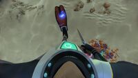 Swim Charge Fins sparkle when they are charged