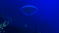 Thumbnail for version as of 08:13, 7 August 2021