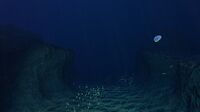 The steep Sea Treader's Path leading to the Sea Treader's Tunnel Caves