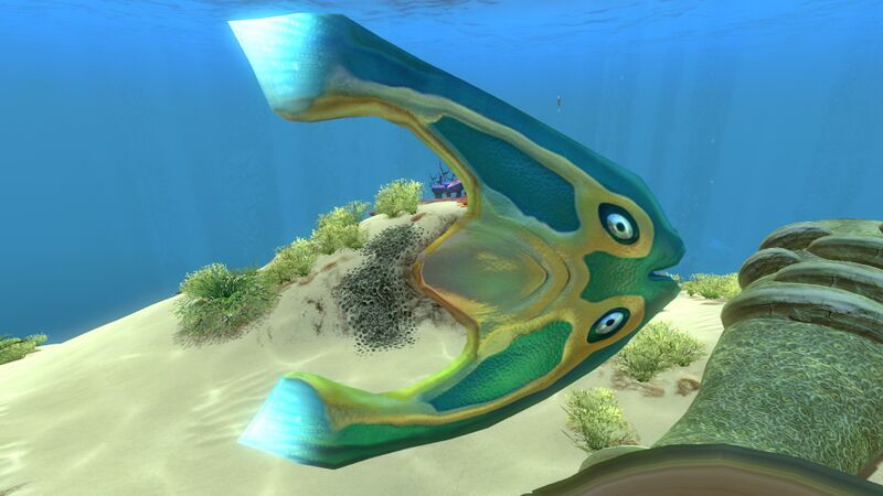 File:Boomerang (1).jpg