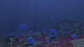 Bulb Zone