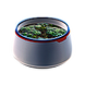 Chic Plant Pot Icon.png