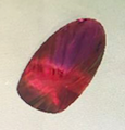 Thumbnail for version as of 13:06, 24 February 2017