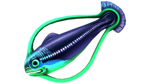 Hoopfish Fauna (BZ).png