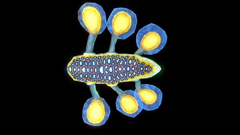 File:Hoverfish6.jpg