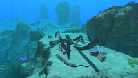 Wreckage in the Safe Shallows