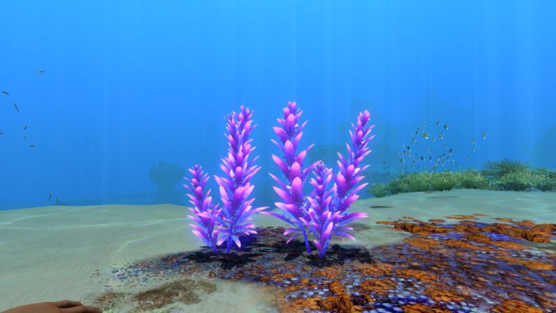 File:VioletBeauregardeDay (BZ).jpg