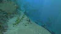 The Safe Shallows near the Grassy Plateaus