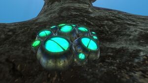 Blue Barnacles 04.jpg