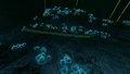 The mysterious DRF Aquarium
