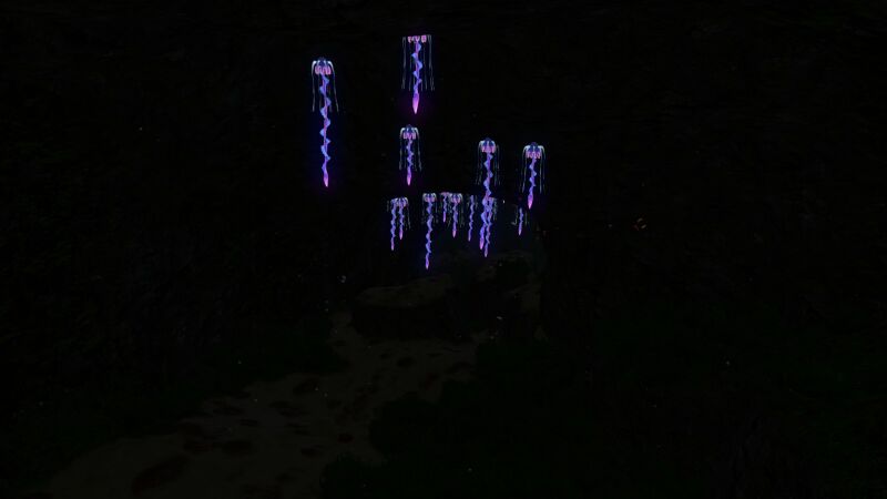 File:Kelpforestcaves.jpg