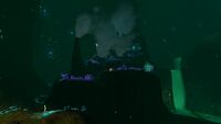 A thermal vent cluster