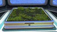 An Indoor Growbed