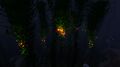 Bioluminescence