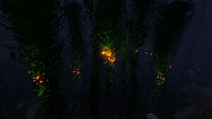Creepvine (3).jpg