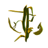 Creepvine Sample Icon.png