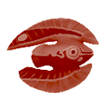 Thumbnail for version as of 18:32, 6 August 2021