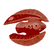 Cured Feather Fish (Red) Icon.png