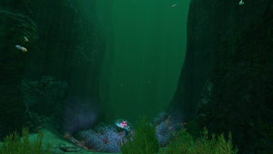 GR Kelp Forest Transition.png