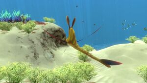 Garryfish4.jpg