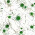 Thumbnail for version as of 22:54, 6 August 2021