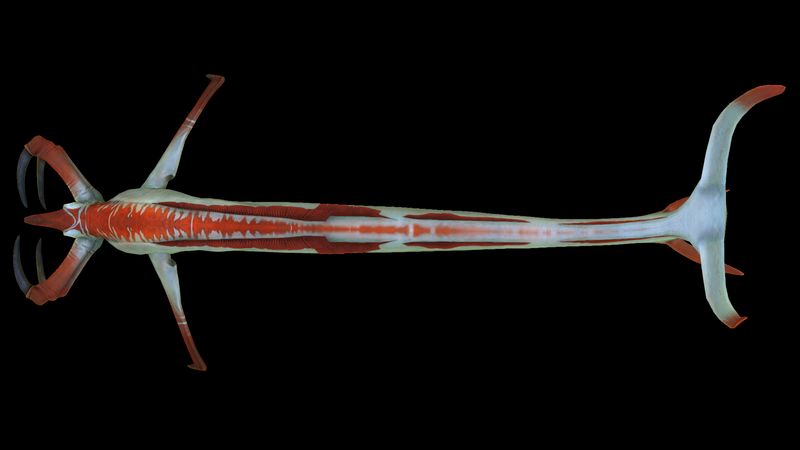 File:Reaper Dorsal.png