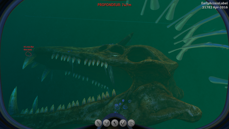 File:Seadragon2.png
