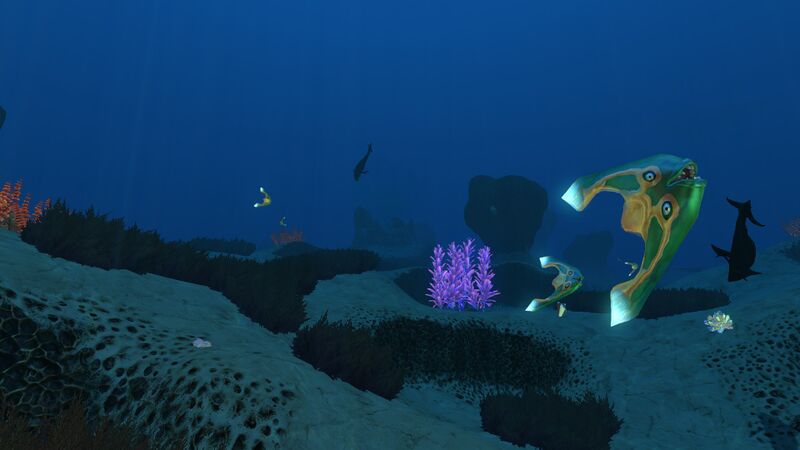 File:UnderwaterIslands5.jpg