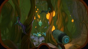 ArcticKelp-Caves.jpg