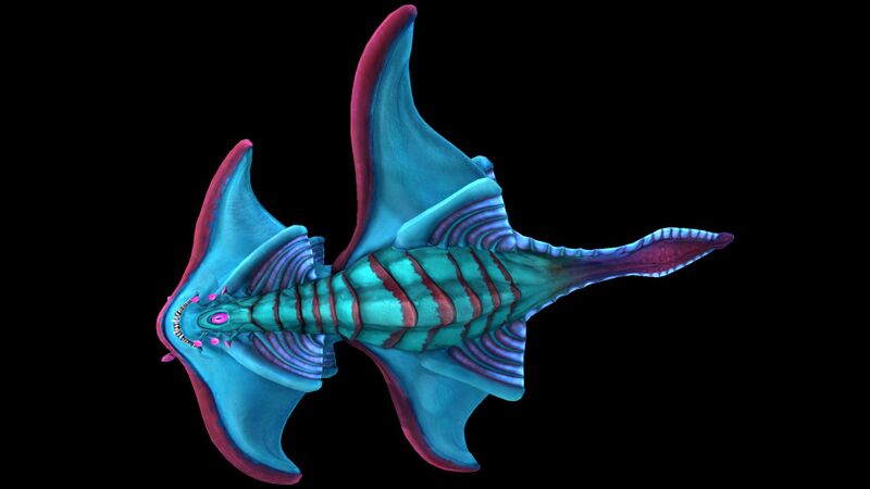 File:Arctic Ray 1.jpg