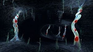 Blood Kelp Caves (01).jpg