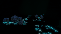 More "Cave Corals", growing next to glowing seagrass