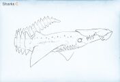 Early Brute Shark - by Alex Ries