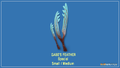 Thumbnail for version as of 13:29, 21 May 2015