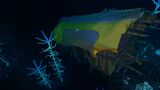 Wrecks (7).jpg