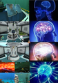 Xl1ortmx1b631.png