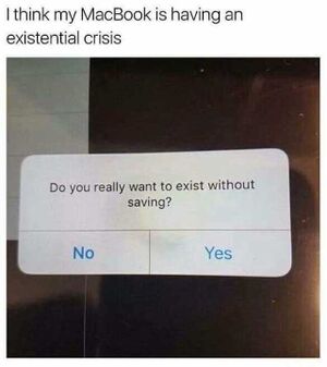 BB3DA9CE-D3E0-4CDB-878F-4CE199361CF4.jpeg