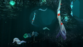 The Blood Kelp Caves in the Northern Zone