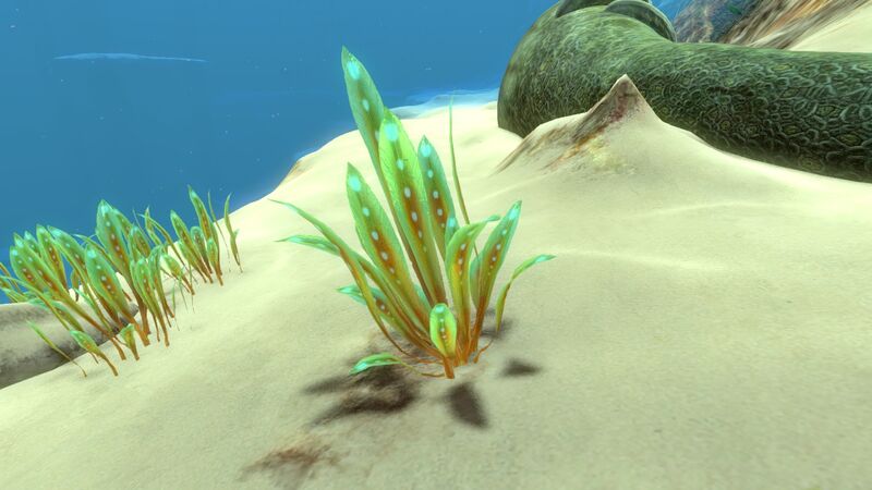 File:GreenReeds01.jpg