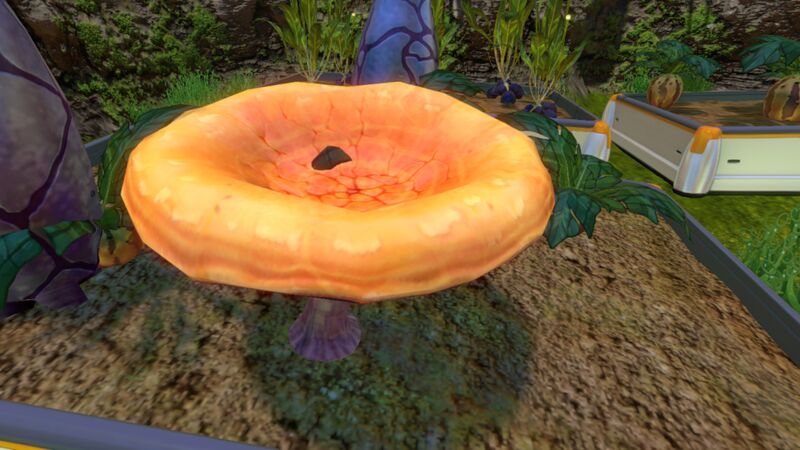 File:Orange Mushroom in Planter.jpg