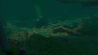 A view from the corner of the Aquarium