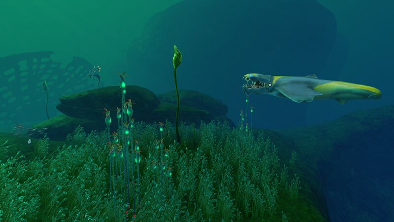 File:BruteSharkLI.jpg