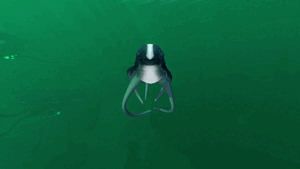 Cutefish flip.gif