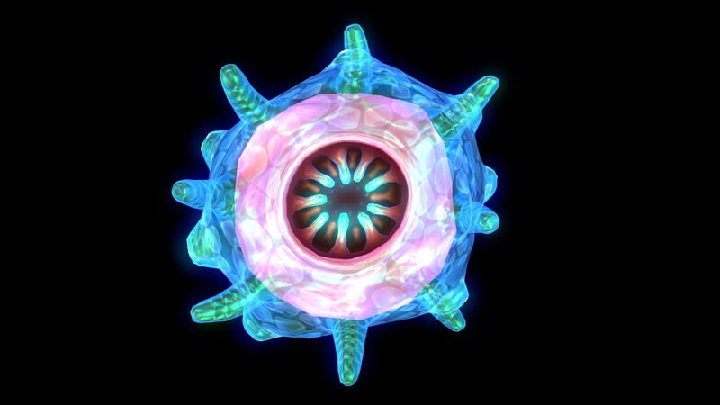 File:Floater2.jpg