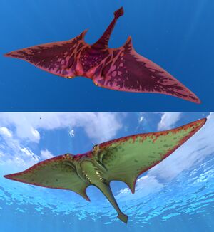 Ghost ray red.jpg