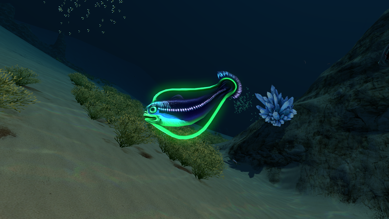 File:Hoopfish Dunes.png